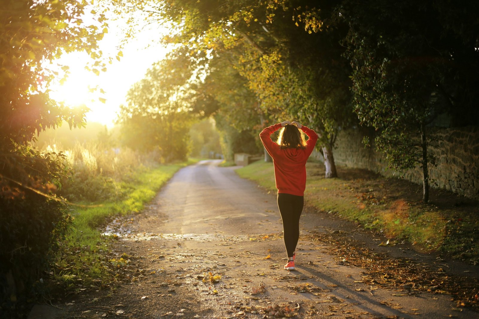 A runner pausing on a quiet trail at sunrise