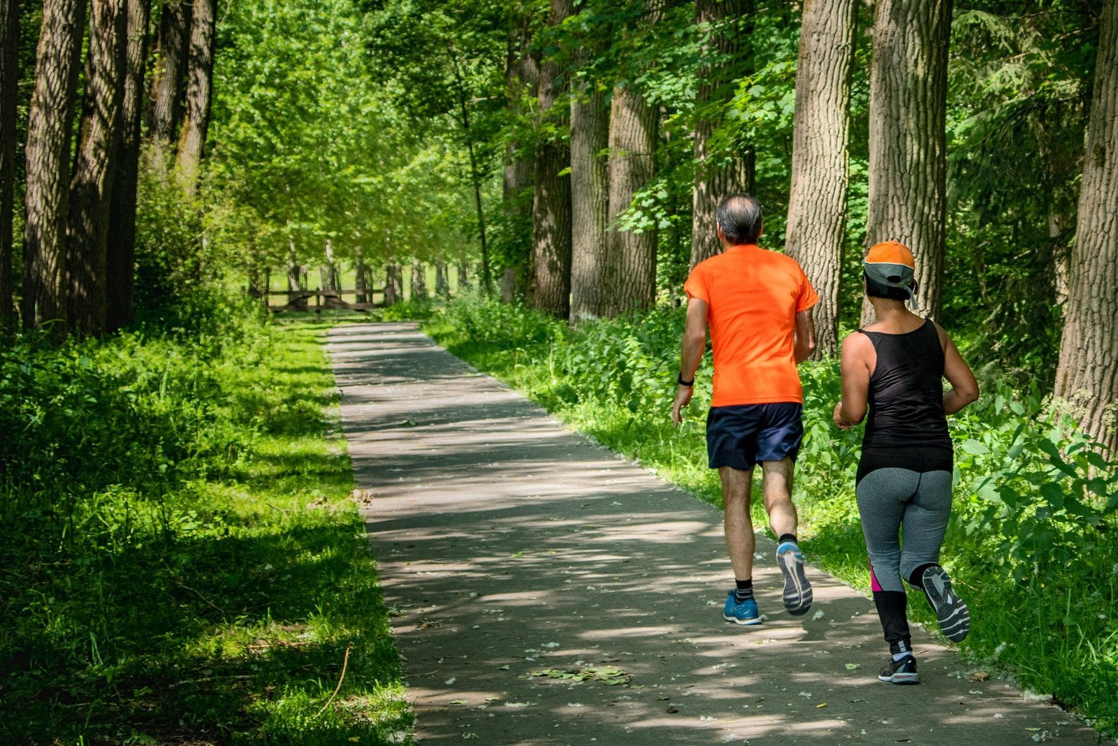 Two runners heading up a tree-lined trail